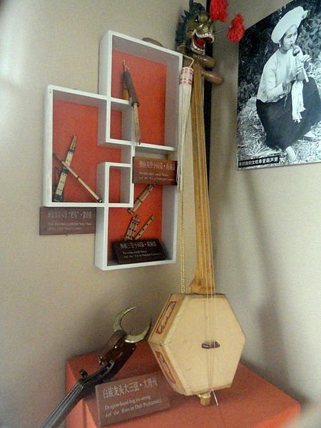 450px-Musical_instruments_in_the_Yunnan_Nationalities_Museum_-_DSC03917