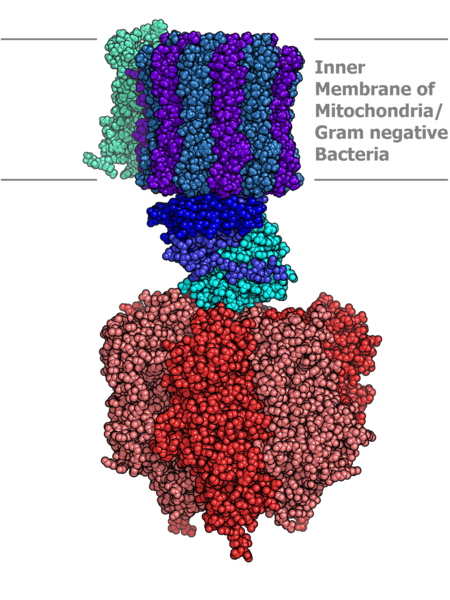 分子模型.png