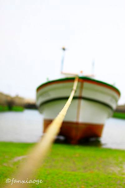 _MG_7813.JPG
