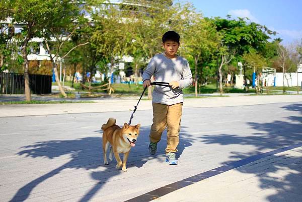 _MG_6991.JPG