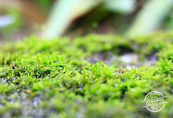 _MG_7505.JPG