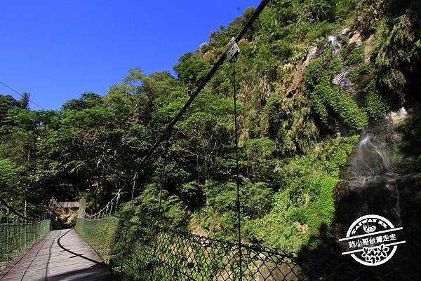 _MG_4108.JPG