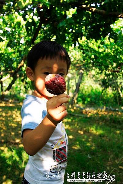 _MG_1670.JPG
