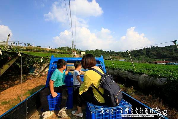 _MG_1729.JPG
