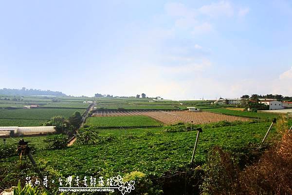 _MG_1736.JPG