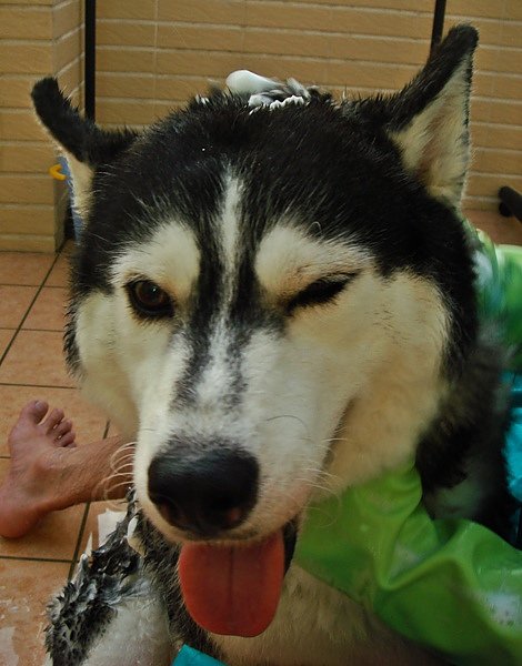 DSC06766.JPG
