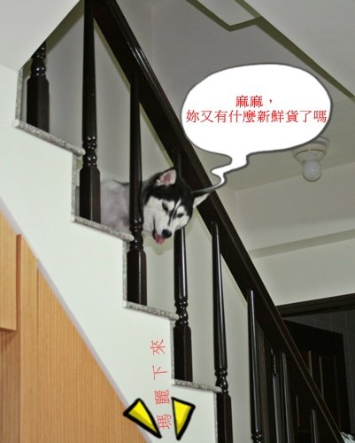 照片 004.jpg