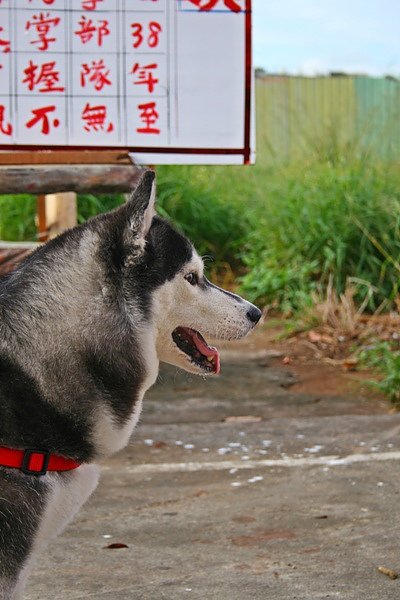 照片 231.jpg