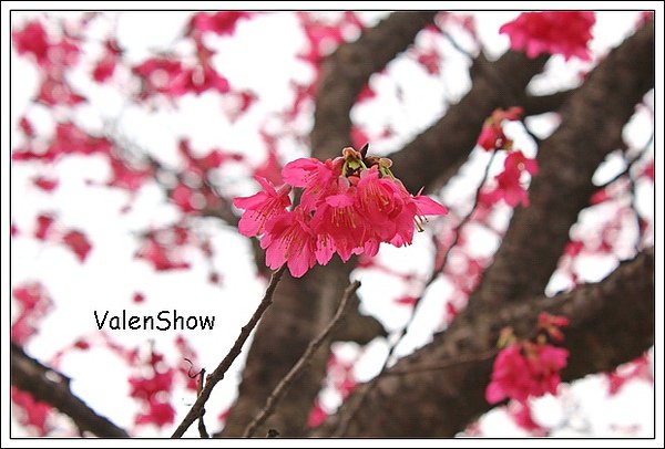 照片 087.jpg