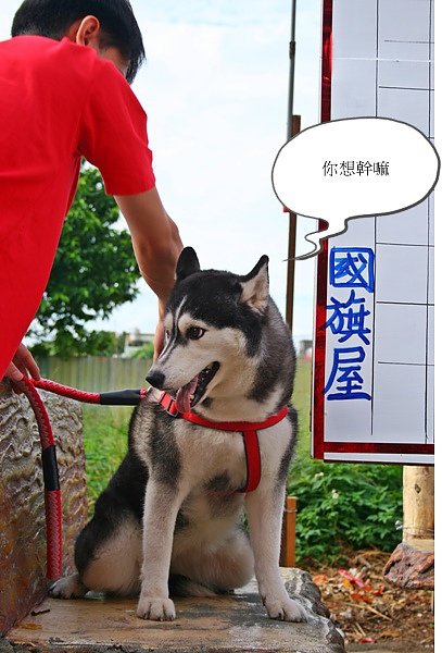 照片 234.jpg
