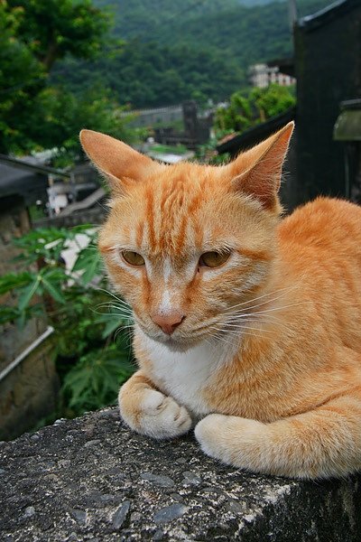 照片 100.jpg