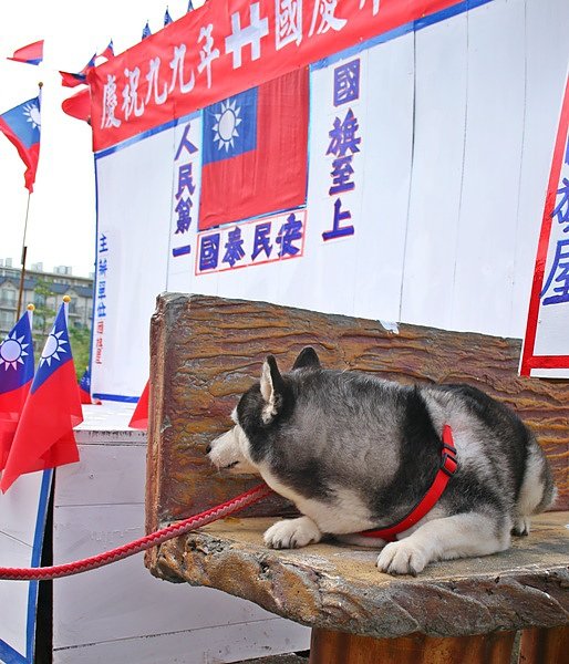 照片 242.jpg