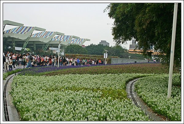 照片 163.jpg