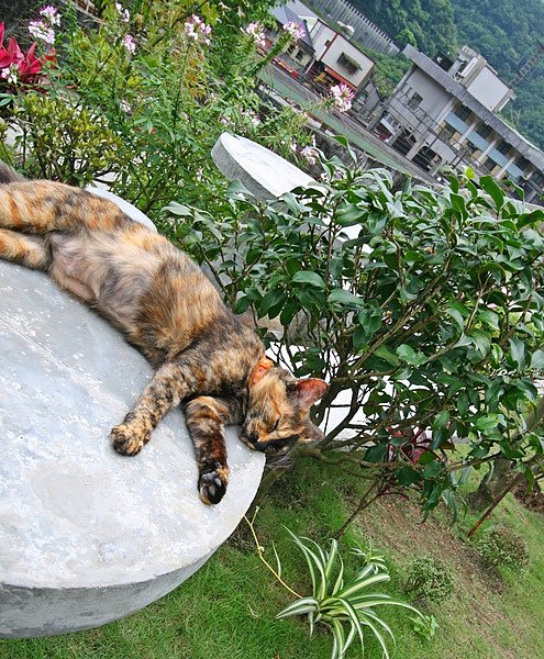 照片 090.jpg