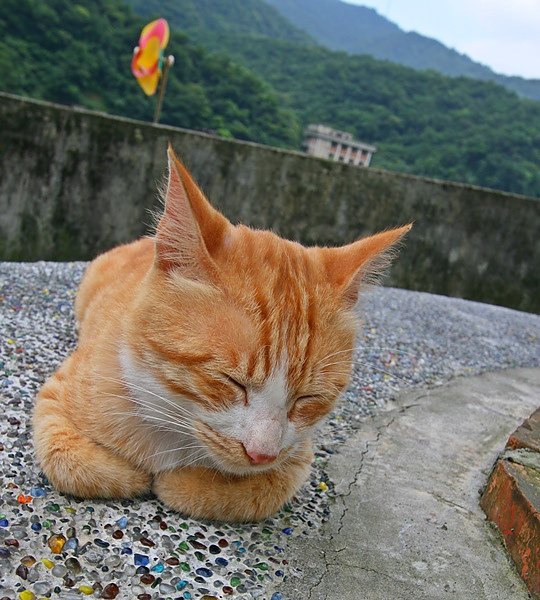 照片 085.jpg
