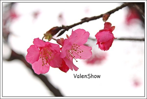 照片 109.jpg