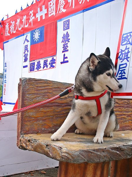 照片 244.jpg