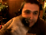 Video call snapshot 3.png