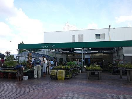 P1030935