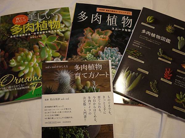 P1040337
