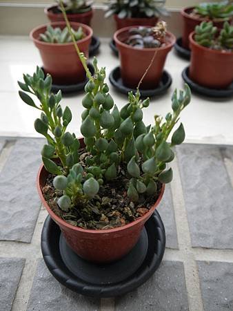 P1040813