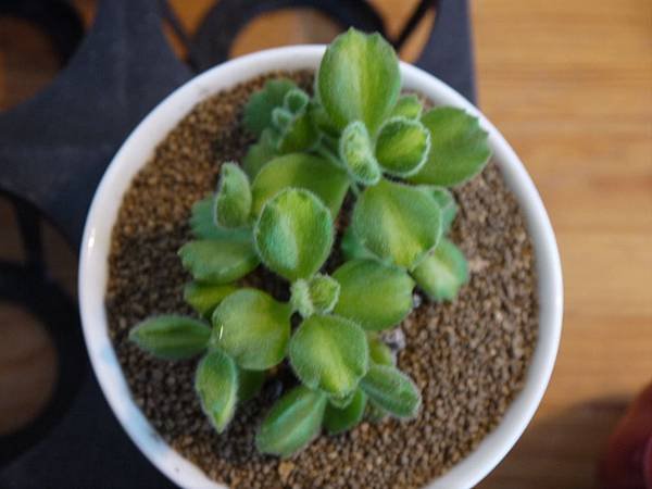 P1050701