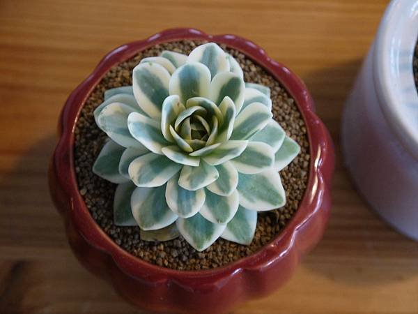 P1050702