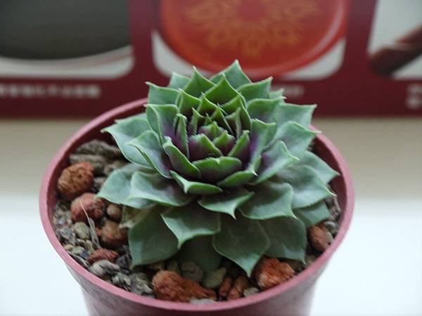 P1050760
