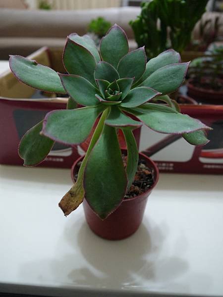 P1050763
