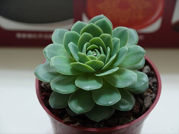 P1050770