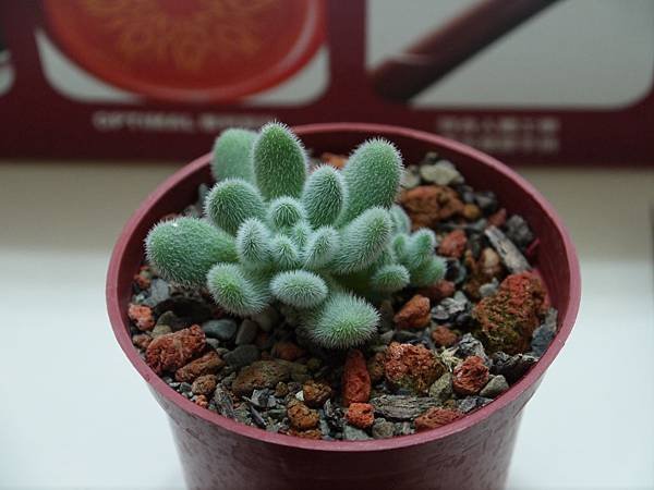 P1050795