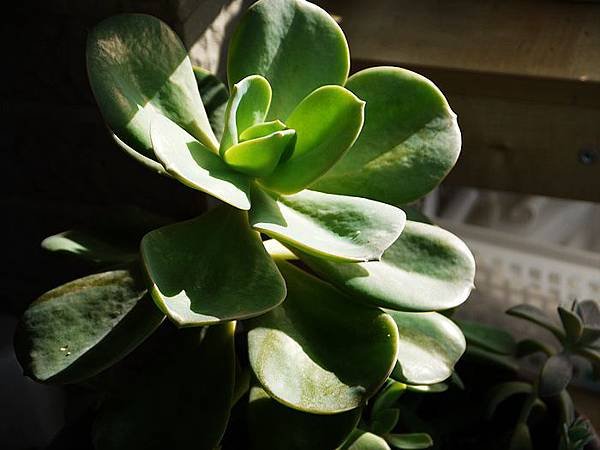 P1060182