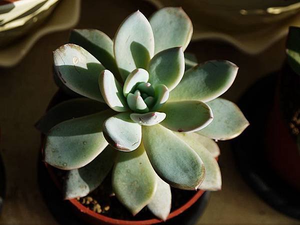 P1060185