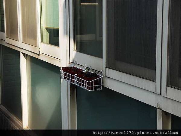 nEO_IMG_P1060558