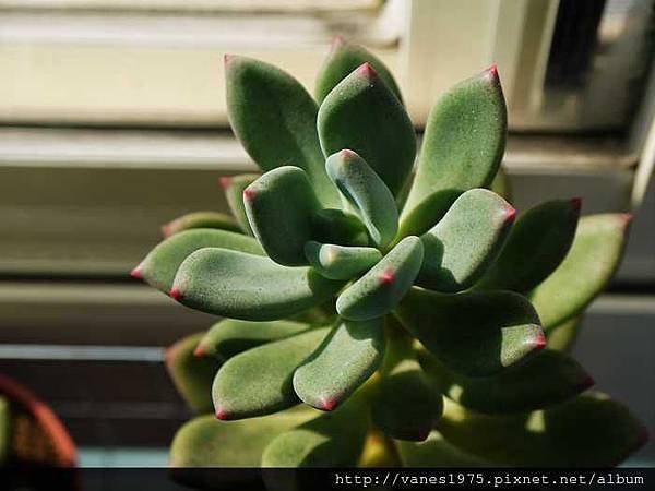 nEO_IMG_P1060591