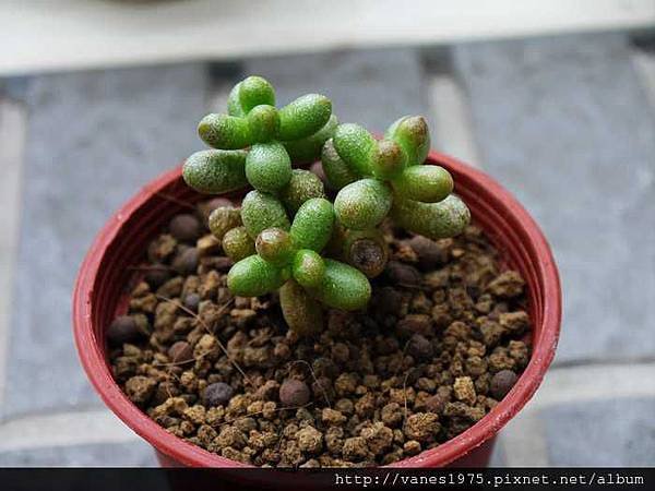 nEO_IMG_P1090731