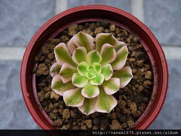 nEO_IMG_P1090736
