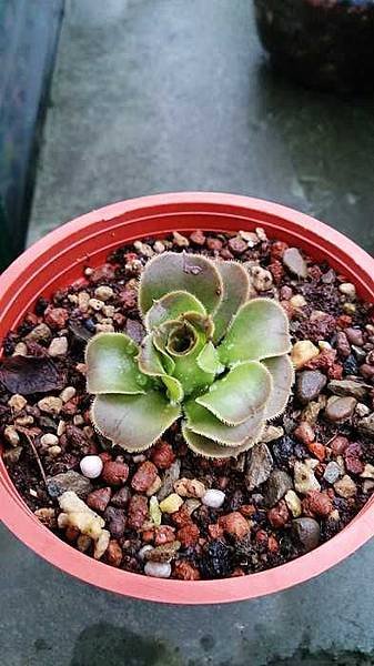 nEO_IMG_DSC_0044.jpg
