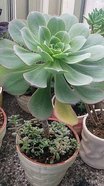nEO_IMG_DSC_1093.jpg