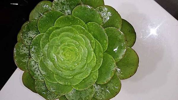 nEO_IMG_DSC_1410.jpg