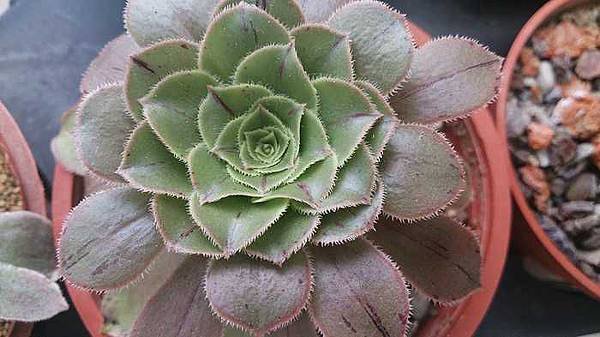 nEO_IMG_DSC_1440.jpg