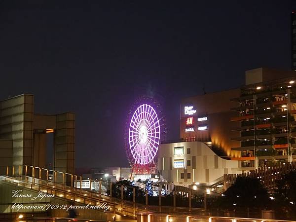 P1110009.JPG