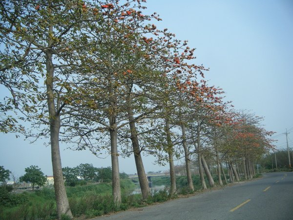 DSCF1699.jpg