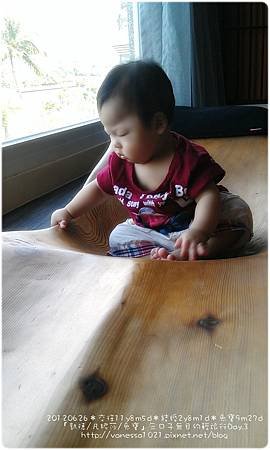 IMAG3029