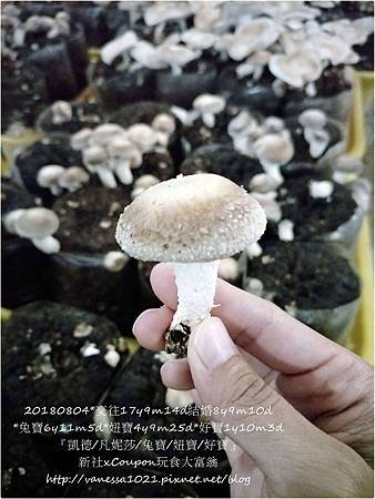 IMG20180804163158.jpg