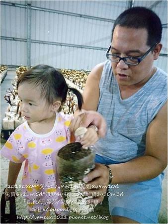 IMG20180804163115.jpg