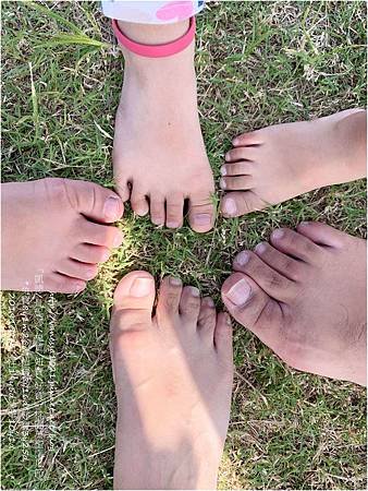 IMG_8542.jpg