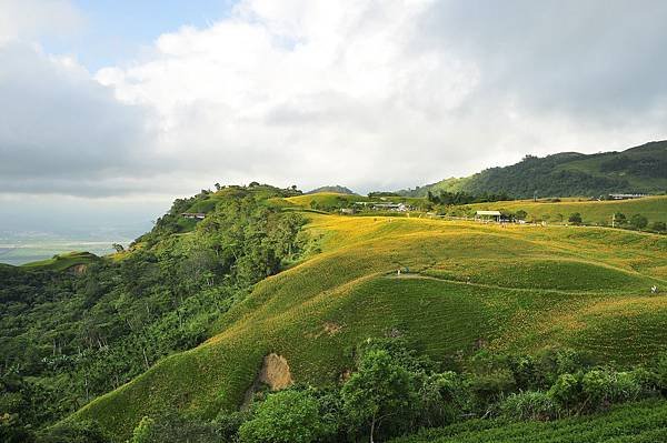 _DSC0885.jpg