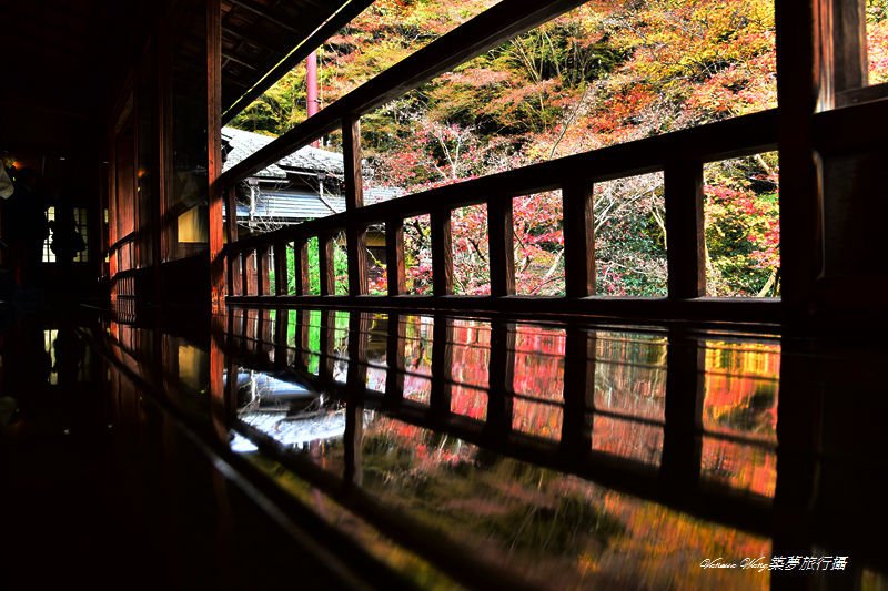 DSC_1104_副本.jpg