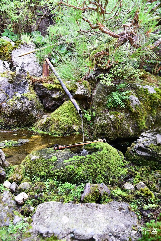 DSC_6529.jpg
